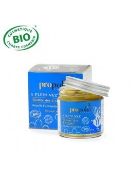 Baume des Quatre Saisons Biologique 60 ML