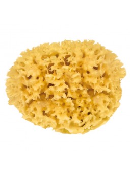 Éponge Naturelle 10 CM