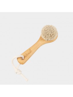 Brosse pour le Visage