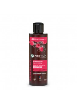 Shampoing Brillance –...