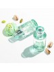 parfum pistache femme