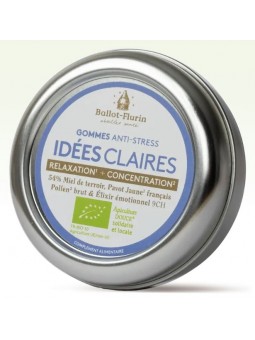 Gommes Idées Claires 30 Gr...